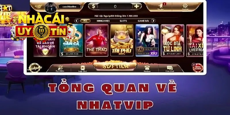 Nhatvip là sảnh cá cược trực tuyến hay nhất