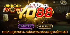 Tổng quan qua về nhà cái YO88